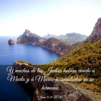 Picture 03 - Juan 11:19 RVA - Y muchos de los Judíos habían venido á Marta y - Bible Verse Picture