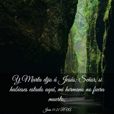 Picture 03 - Juan 11:21 RVA - Y Marta dijo á Jesús: Señor, si hubieses - Bible Verse Picture