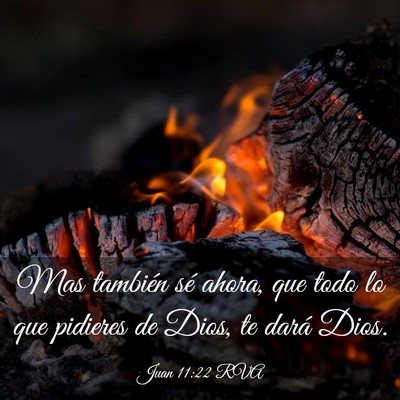 Picture 03 - Juan 11:22 RVA - Mas también sé ahora, que todo lo que pidieres - Bible Verse Picture