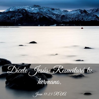 Picture 03 - Juan 11:23 RVA - Dícele Jesús: Resucitará tu - Bible Verse Picture