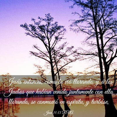 Picture 03 - Juan 11:33 RVA - Jesús entonces, como la vió llorando, y á los - Bible Verse Picture
