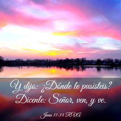 Picture 03 - Juan 11:34 RVA - Y dijo: ¿Dónde le pusisteis? Dicenle: Señor, - Bible Verse Picture