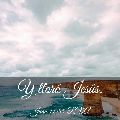 Picture 03 - Juan 11:35 RVA - Y lloró - Bible Verse Picture