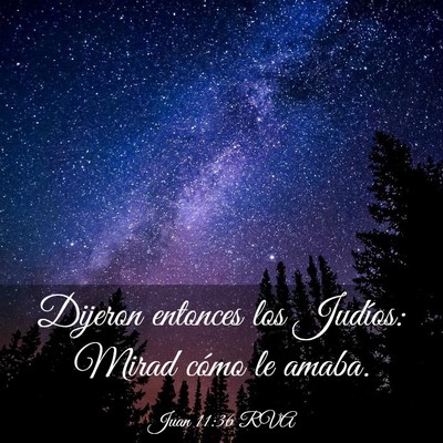 Picture 03 - Juan 11:36 RVA - Dijeron entonces los Judíos: Mirad cómo le - Bible Verse Picture