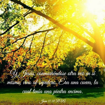Picture 03 - Juan 11:38 RVA - Y Jesús, conmoviéndose otra vez en sí mismo, - Bible Verse Picture