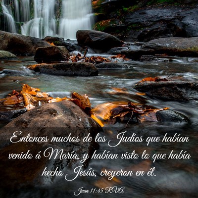 Picture 03 - Juan 11:45 RVA - Entonces muchos de los Judíos que habían venido - Bible Verse Picture