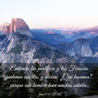 Picture 03 - Juan 11:47 RVA - Entonces los pontífices y los Fariseos juntaron - Bible Verse Picture