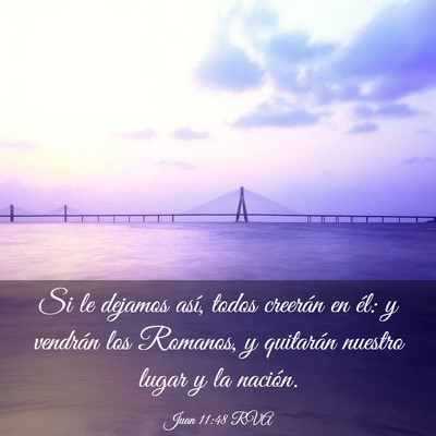 Picture 03 - Juan 11:48 RVA - Si le dejamos así, todos creerán en él: y - Bible Verse Picture