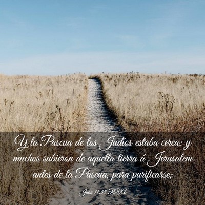 Picture 03 - Juan 11:55 RVA - Y la Pascua de los Judíos estaba cerca: y muchos - Bible Verse Picture