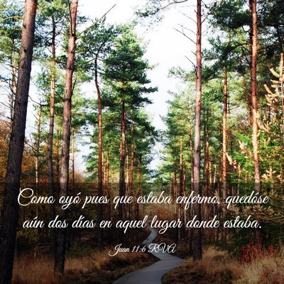 Picture 03 - Juan 11:6 RVA - Como oyó pues que estaba enfermo, quedóse aún - Bible Verse Picture