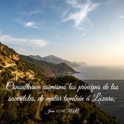 Picture 03 - Juan 12:10 RVA - Consultaron asimismo los príncipes de los - Bible Verse Picture