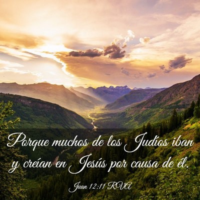 Picture 03 - Juan 12:11 RVA - Porque muchos de los Judíos iban y creían en - Bible Verse Picture