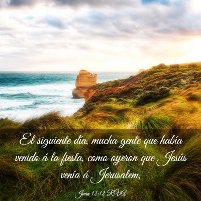 Picture 03 - Juan 12:12 RVA - El siguiente día, mucha gente que había venido - Bible Verse Picture