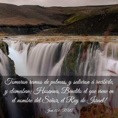 Picture 03 - Juan 12:13 RVA - Tomaron ramos de palmas, y salieron á recibirle, - Bible Verse Picture
