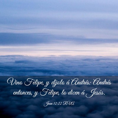 Picture 03 - Juan 12:22 RVA - Vino Felipe, y díjolo á Andrés: Andrés - Bible Verse Picture