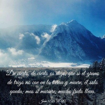 Picture 03 - Juan 12:24 RVA - De cierto, de cierto os digo, que si el grano de - Bible Verse Picture