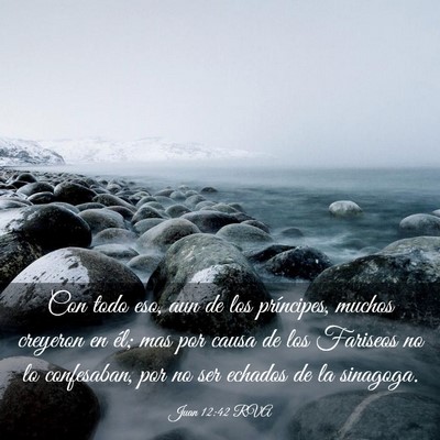 Picture 03 - Juan 12:42 RVA - Con todo eso, aun de los príncipes, muchos - Bible Verse Picture