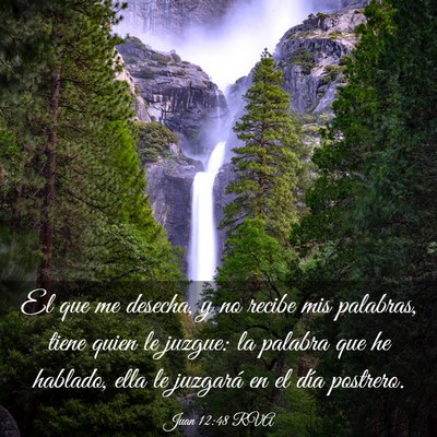 Picture 03 - Juan 12:48 RVA - El que me desecha, y no recibe mis palabras, - Bible Verse Picture