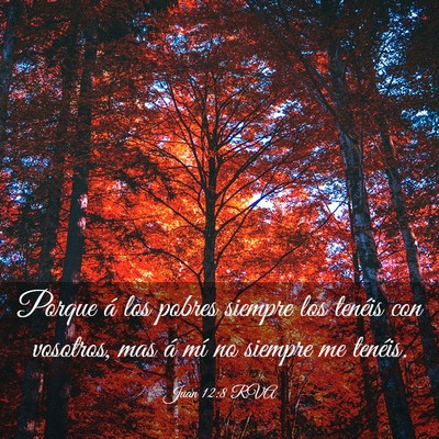 Picture 03 - Juan 12:8 RVA - Porque á los pobres siempre los tenéis con - Bible Verse Picture