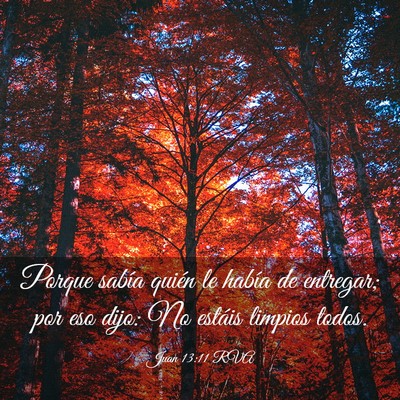 Picture 03 - Juan 13:11 RVA - Porque sabía quién le había de entregar; por - Bible Verse Picture
