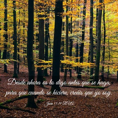 Picture 03 - Juan 13:19 RVA - Desde ahora os lo digo antes que se haga, para - Bible Verse Picture
