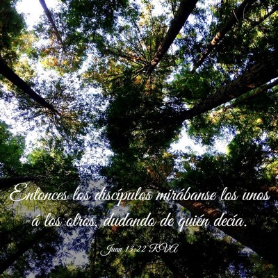 Picture 03 - Juan 13:22 RVA - Entonces los discípulos mirábanse los unos á - Bible Verse Picture