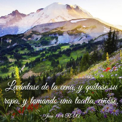 Picture 03 - Juan 13:4 RVA - Levántase de la cena, y quítase su ropa, y - Bible Verse Picture