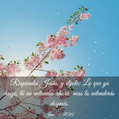 Picture 03 - Juan 13:7 RVA - Respondió Jesús, y díjole: Lo que yo hago, tú - Bible Verse Picture