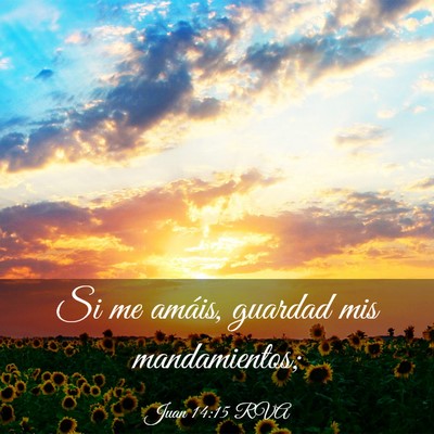Picture 03 - Juan 14:15 RVA - Si me amáis, guardad mis - Bible Verse Picture