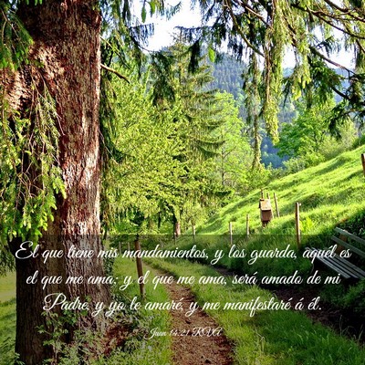 Picture 03 - Juan 14:21 RVA - El que tiene mis mandamientos, y los guarda, - Bible Verse Picture