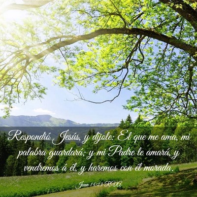 Picture 03 - Juan 14:23 RVA - Respondió Jesús, y díjole: El que me ama, mi - Bible Verse Picture