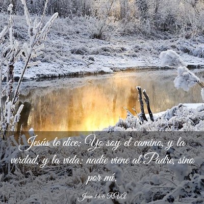 Picture 03 - Juan 14:6 RVA - Jesús le dice: Yo soy el camino, y la verdad, y - Bible Verse Picture