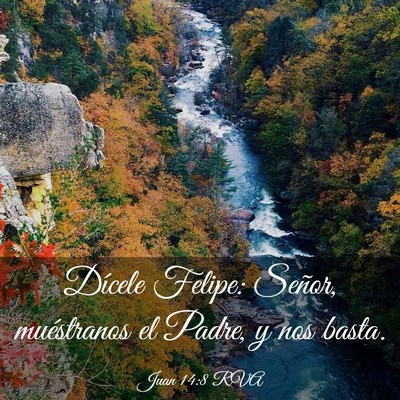Picture 03 - Juan 14:8 RVA - Dícele Felipe: Señor, muéstranos el Padre, y - Bible Verse Picture