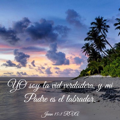 Picture 03 - Juan 15:1 RVA - YO soy la vid verdadera, y mi Padre es el - Bible Verse Picture