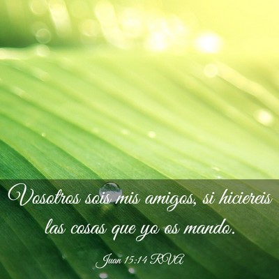 Picture 03 - Juan 15:14 RVA - Vosotros sois mis amigos, si hiciereis las cosas - Bible Verse Picture
