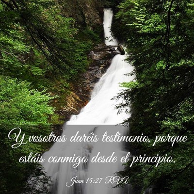 Picture 03 - Juan 15:27 RVA - Y vosotros daréis testimonio, porque estáis - Bible Verse Picture