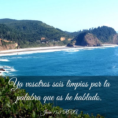 Picture 03 - Juan 15:3 RVA - Ya vosotros sois limpios por la palabra que os he - Bible Verse Picture