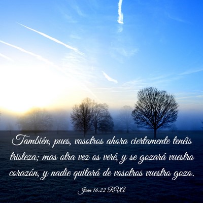 Picture 03 - Juan 16:22 RVA - También, pues, vosotros ahora ciertamente - Bible Verse Picture