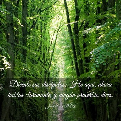 Picture 03 - Juan 16:29 RVA - Dícenle sus discípulos: He aquí, ahora hablas - Bible Verse Picture
