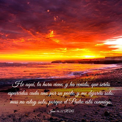 Picture 03 - Juan 16:32 RVA - He aquí, la hora viene, y ha venido, que seréis - Bible Verse Picture