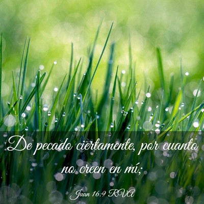 Picture 03 - Juan 16:9 RVA - De pecado ciertamente, por cuanto no creen en - Bible Verse Picture