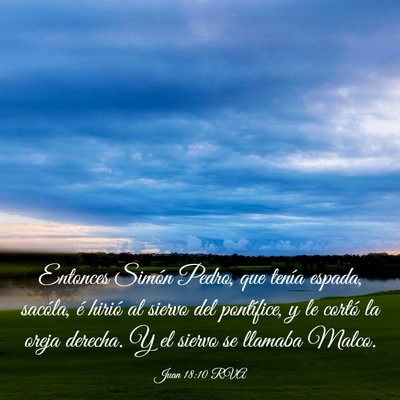 Picture 03 - Juan 18:10 RVA - Entonces Simón Pedro, que tenía espada, - Bible Verse Picture