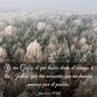 Picture 03 - Juan 18:14 RVA - Y era Caifás el que había dado el consejo á - Bible Verse Picture