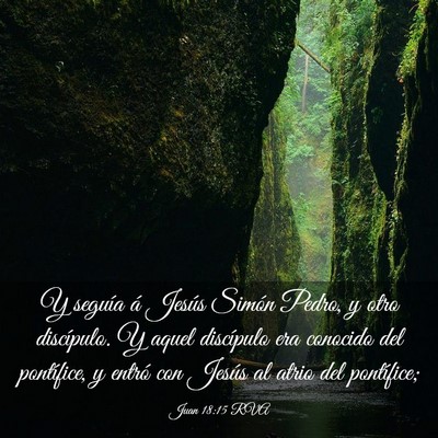 Picture 03 - Juan 18:15 RVA - Y seguía á Jesús Simón Pedro, y otro - Bible Verse Picture