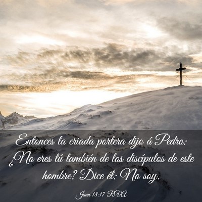 Picture 03 - Juan 18:17 RVA - Entonces la criada portera dijo á Pedro: ¿No - Bible Verse Picture