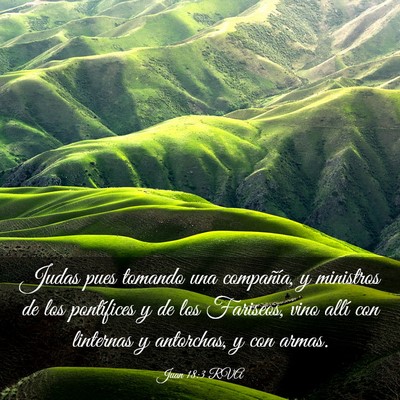 Picture 03 - Juan 18:3 RVA - Judas pues tomando una compañía, y ministros de - Bible Verse Picture