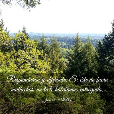 Picture 03 - Juan 18:30 RVA - Respondieron y dijéronle: Si éste no fuera - Bible Verse Picture