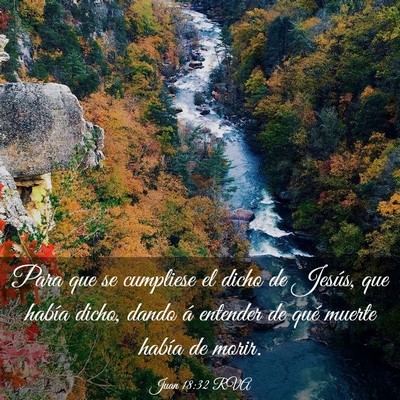 Picture 03 - Juan 18:32 RVA - Para que se cumpliese el dicho de Jesús, que - Bible Verse Picture