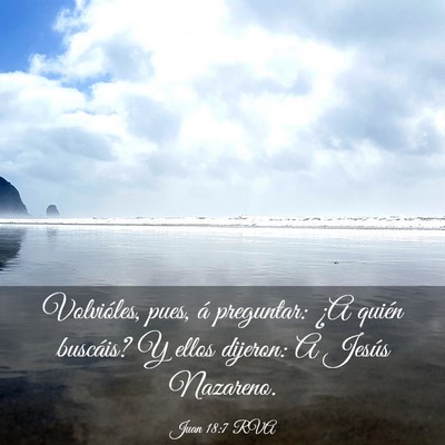 Picture 03 - Juan 18:7 RVA - Volvióles, pues, á preguntar: ¿A quién - Bible Verse Picture