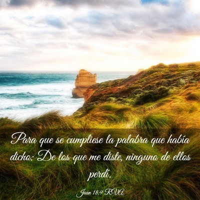 Picture 03 - Juan 18:9 RVA - Para que se cumpliese la palabra que había - Bible Verse Picture
